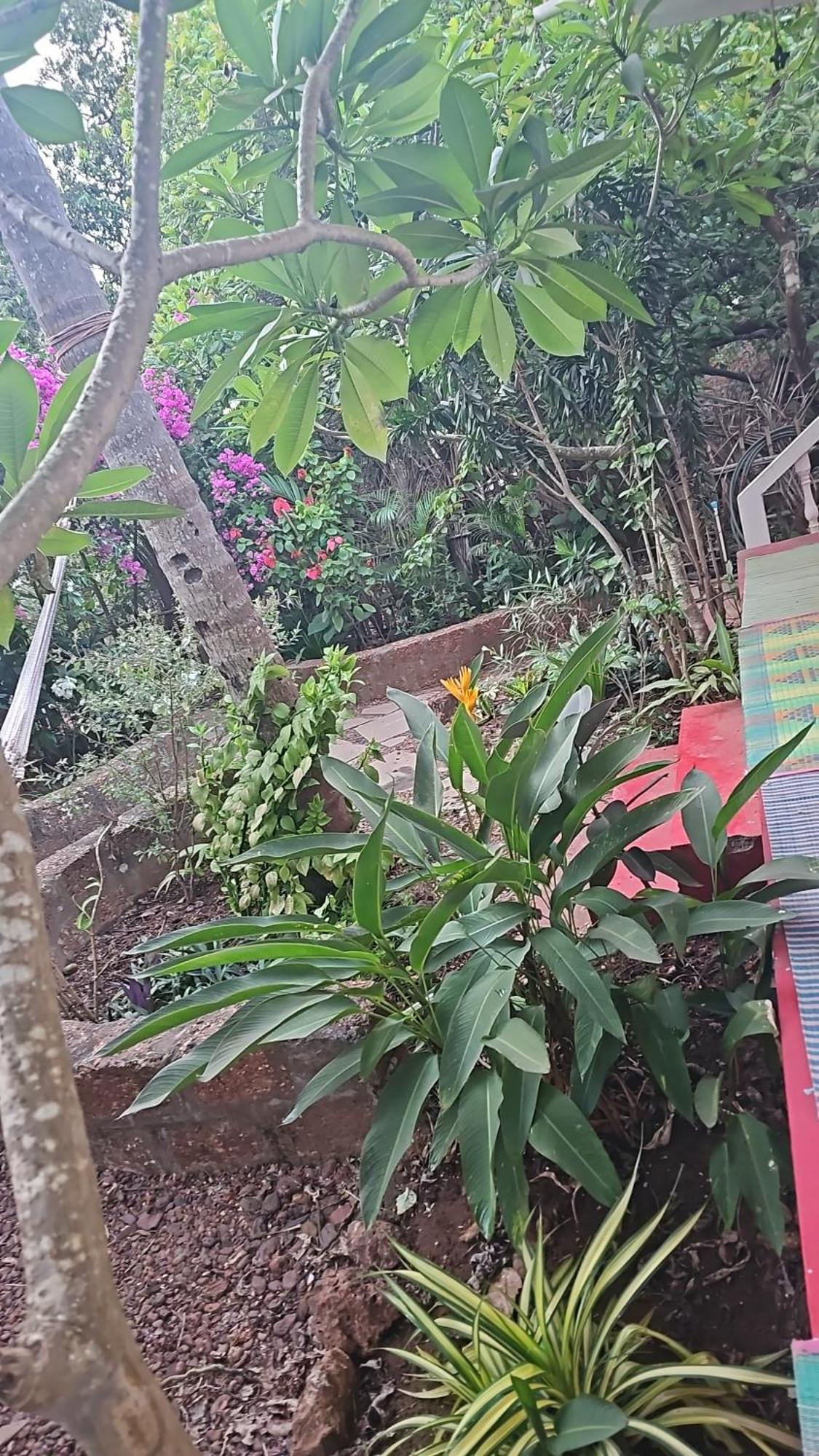 Laxmi Happy Home In Querim Goa Exteriér fotografie