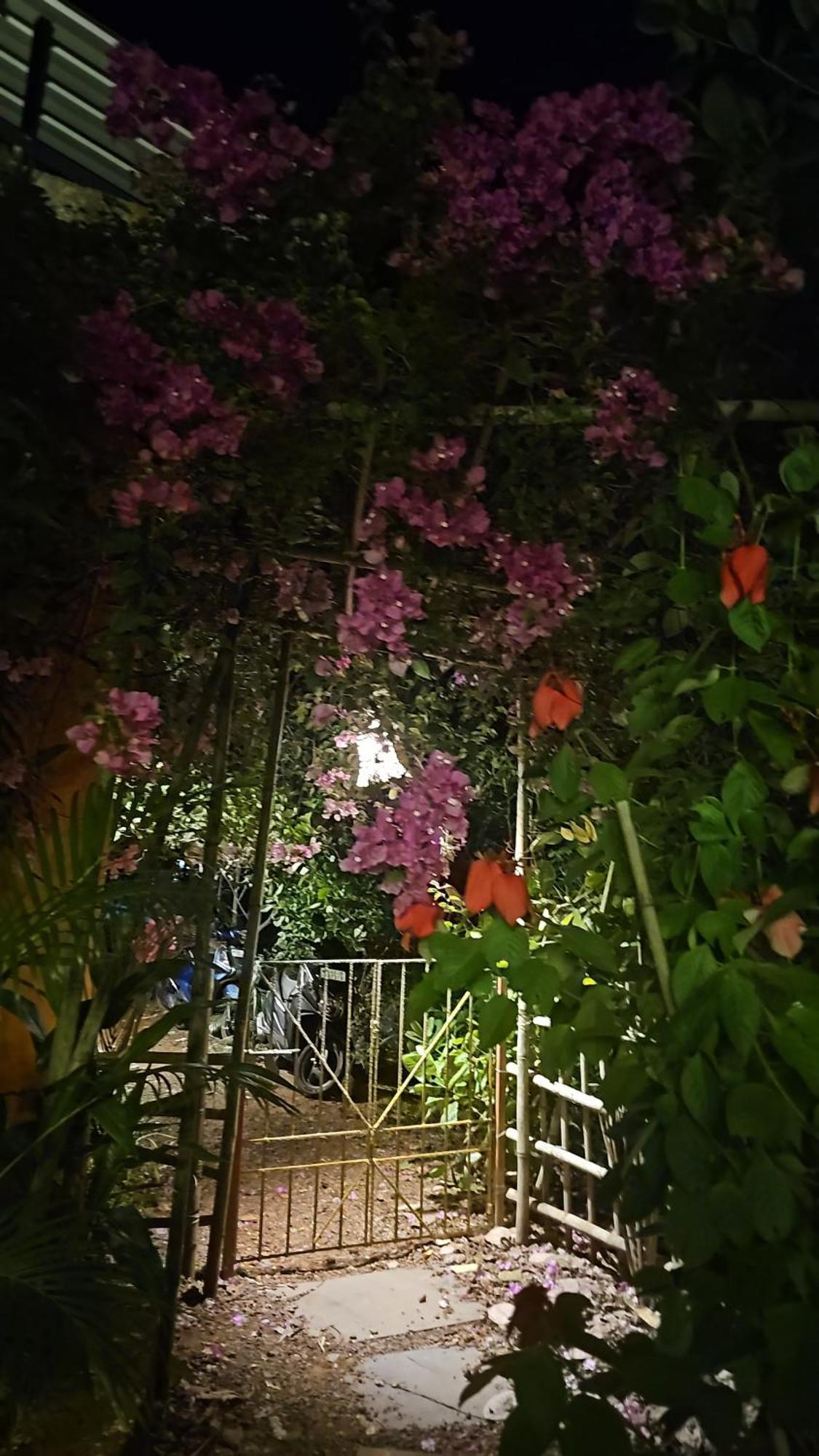 Laxmi Happy Home In Querim Goa Exteriér fotografie